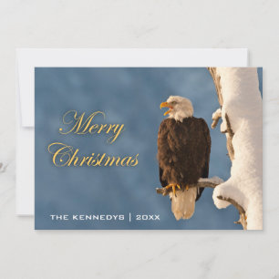 Merry Christmas - Bald eagle perched on - Alaska Holiday Card