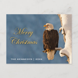 Merry Christmas - Bald Eagle Perching Holiday Postcard