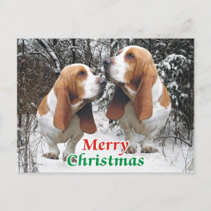 Merry Christmas Basset Hounds Holiday Postcard