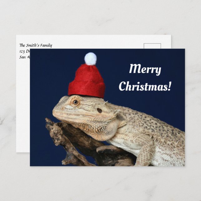 Merry Christmas Bearded Dragon in a Santa Hat Postcard (Front/Back)