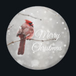 Merry Christmas Beautiful Cardinal Magnet<br><div class="desc">A beautiful cardinal sits on a winter tree with magical snow in the background of a lovely holiday winter photograph. Wish your friends a Merry Christmas with this classic magnet.</div>