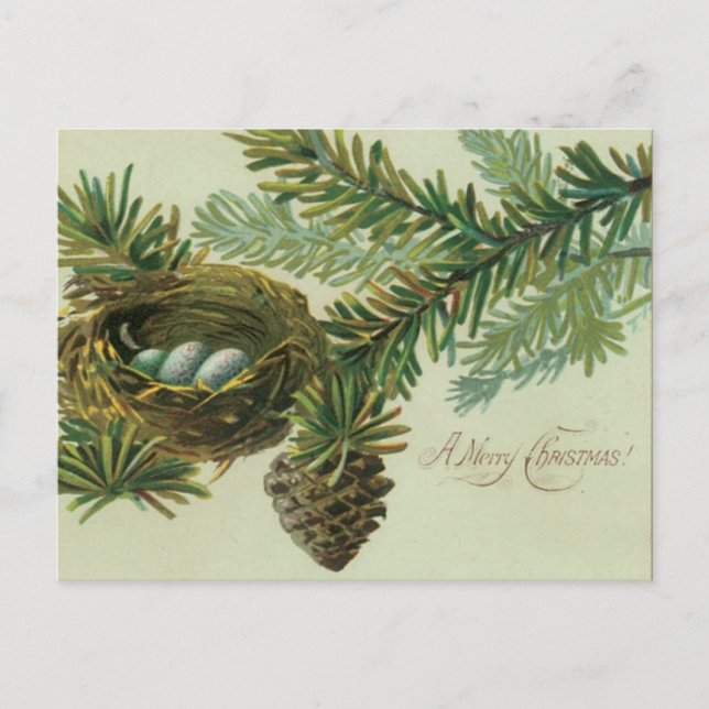 Merry Christmas Bird Eggs Holiday Postcard (Front)
