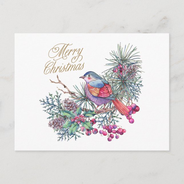 Merry Christmas Bird on Pine Branch Holiday Postcard (Front)