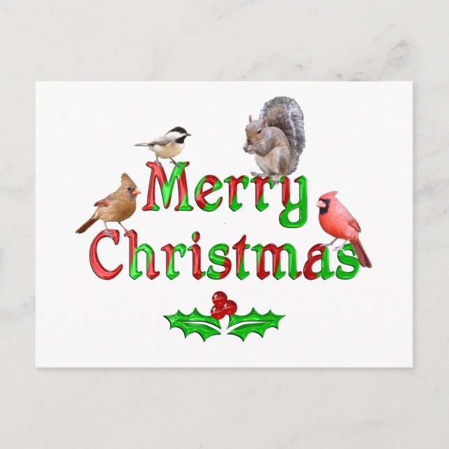 Merry Christmas Birds and Squirrel Holiday Postcard (Front)
