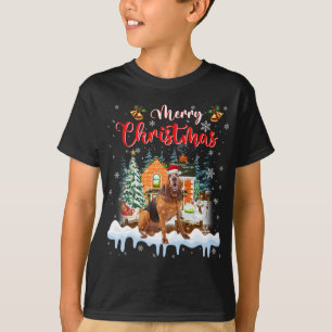 Merry Christmas Bloodhound Dog Santa Hat Lights Xm T-Shirt