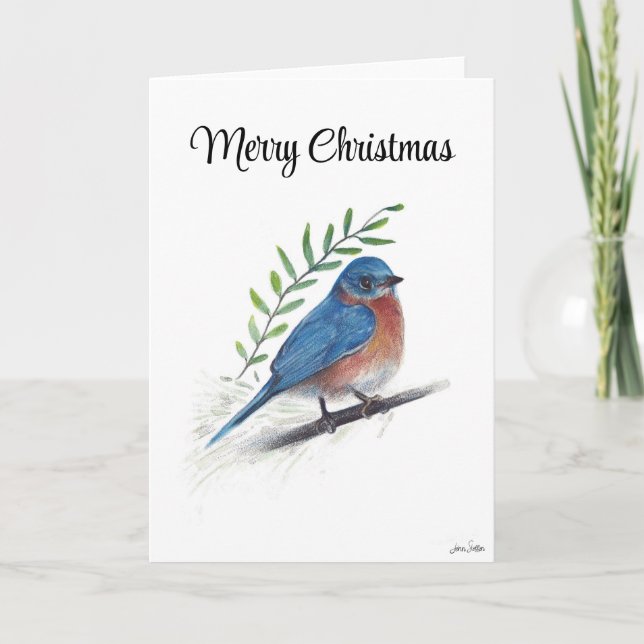 Merry Christmas Bluebird Bird Holiday Card (Front)