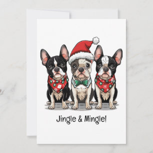 Merry Christmas Boston Terrier Dogs Invitation