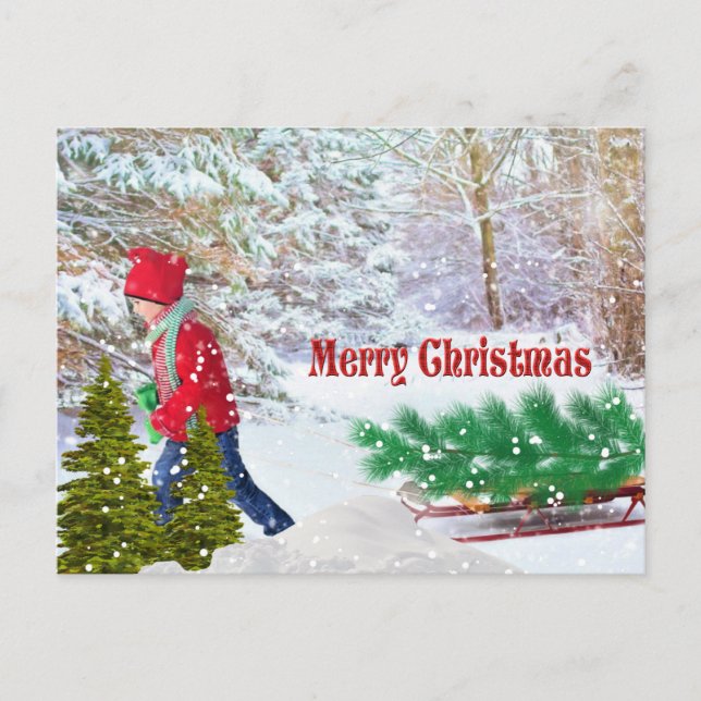 Merry Christmas Boy with Sled Holiday Postcard (Front)