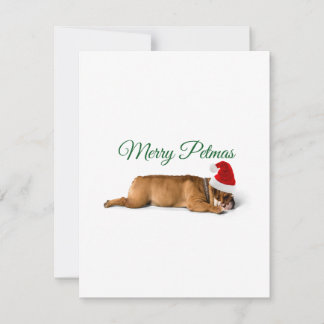 Merry Christmas bulldog holiday card
