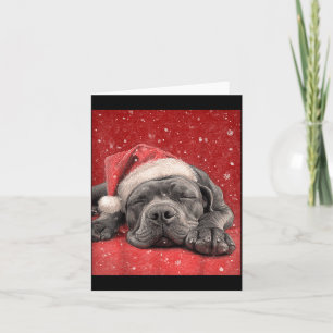 Merry Christmas Cane Corso  Card