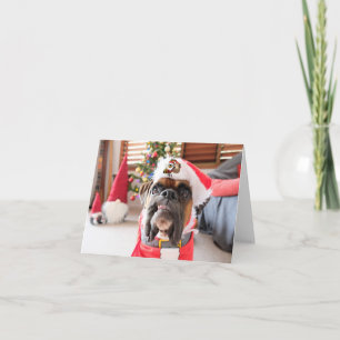 Merry Christmas.  Card