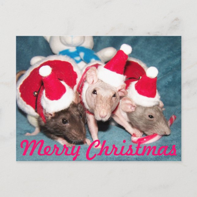 Merry Christmas Card (Front)