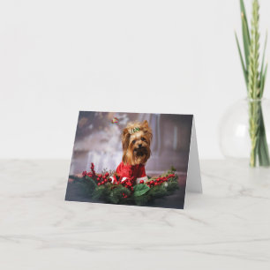 Merry Christmas.  Card