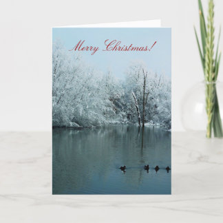 Merry Christmas card with snow, pond, and ducks