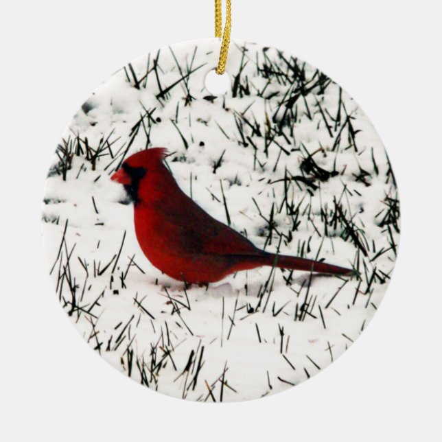 Merry Christmas Cardinal Ceramic Tree Decoration (Front)