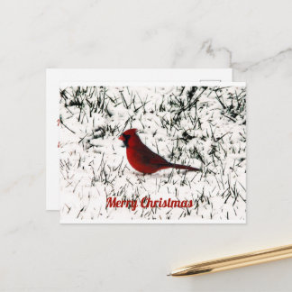 Merry Christmas Cardinal Flat Card