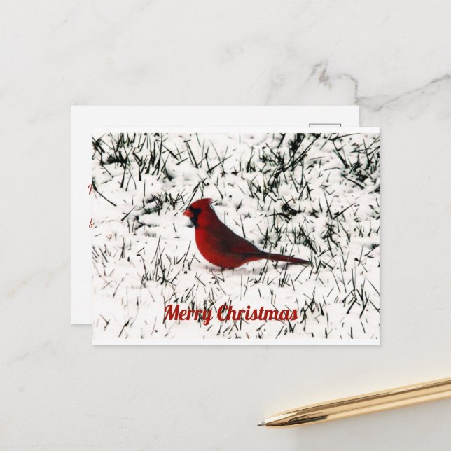 Merry Christmas Cardinal Flat Card (Front/Back In Situ)