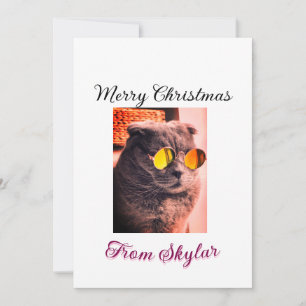 Merry Christmas cat dog pet animal love photo Invitation