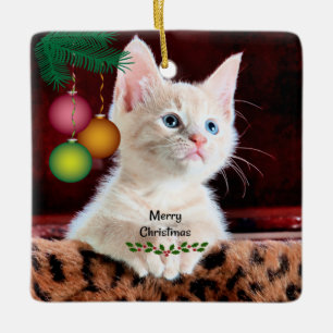 Merry Christmas Cat Ornament