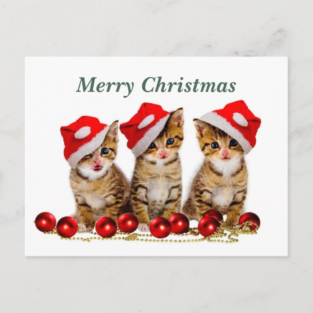 Merry Christmas Cats Postcard (Front)