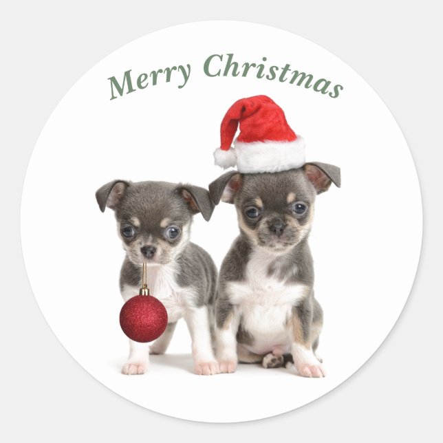 Merry Christmas Chihuahua Puppies Classic Round Sticker (Front)