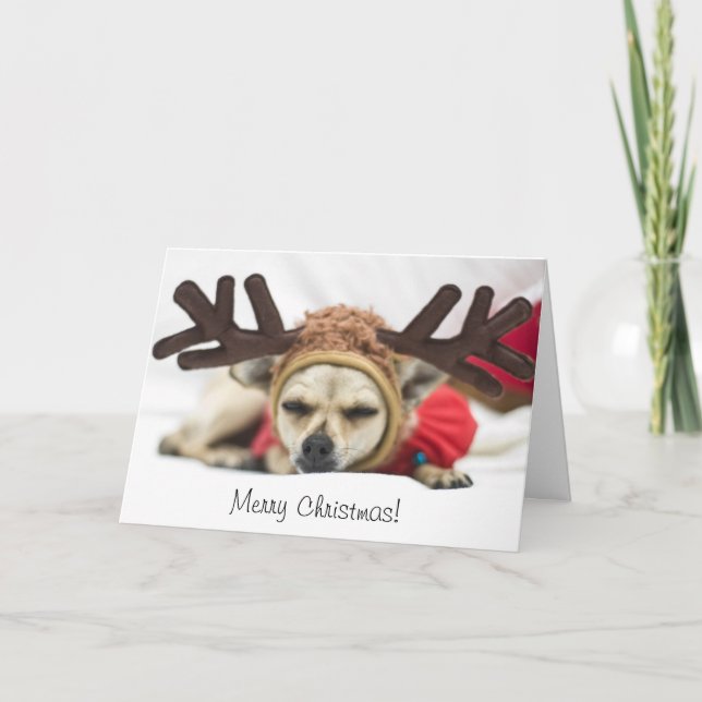 Merry Christmas Chihuahua Reindeer Holiday Card (Front)