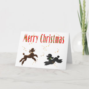 Merry Christmas Chocolate & Black Poodles Playing Holiday Card