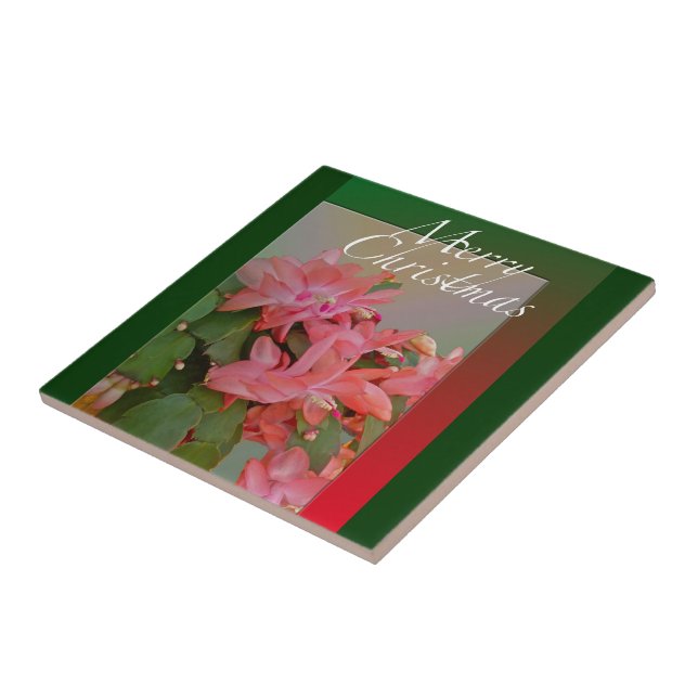 Merry Christmas Christmas Cactus Flowers Tile (Side)