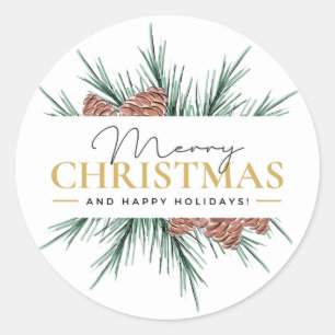 Merry Christmas!  Classic Round Sticker