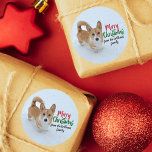 Merry Christmas Corgi Snow Photo Beautiful Custom Classic Round Sticker<br><div class="desc">This beautiful Corgi Christmas sticker features a pretty winter photo of a red and white Pembroke Welsh Corgi with a tail,  standing in the snow next to elegant typography reading Merry Christmas. Adorable holiday gift wrap accessory for a dog lover. Customise with your family name.</div>