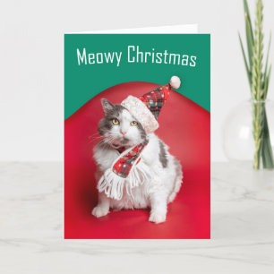 Merry Christmas Cute Cat in Holiday Hat and Scarf Card