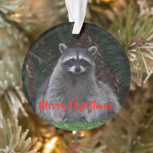 Merry Christmas Cute Forest Racoon Holiday Ornament