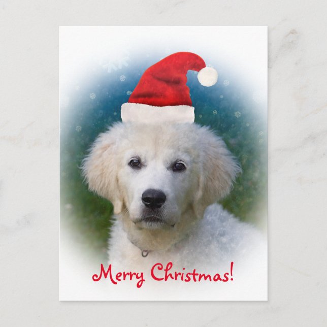 Merry Christmas! | Cute Golden Retriever Puppy Holiday Postcard (Front)