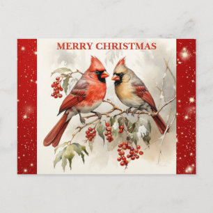 Merry Christmas Cute Watercolor Cardinal Postcard
