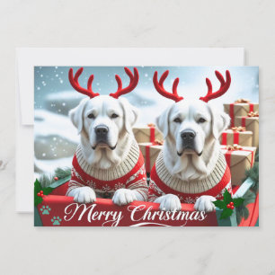 Merry Christmas Cute Yellow Labs Personalized Holiday Card