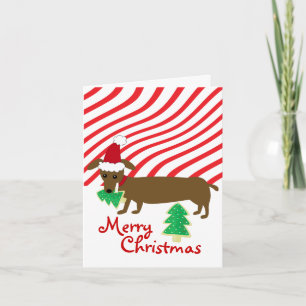 Merry Christmas Dachshund Holiday Card