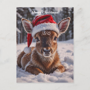Merry Christmas Deer Holiday Postcard