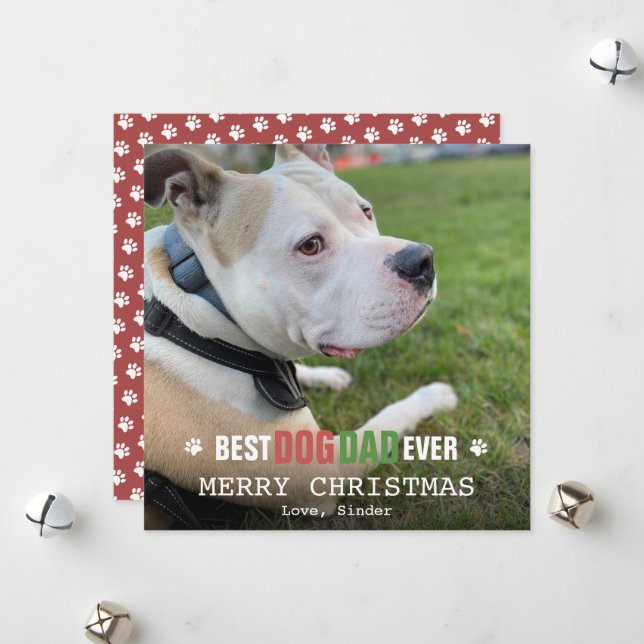 Merry Christmas Dog Dad From The Dog Photo Flat Holiday Card (Front/Back In Situ)