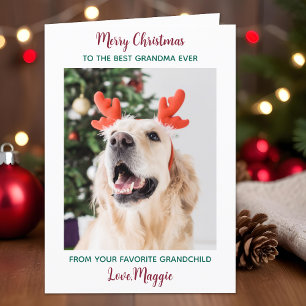 Merry Christmas Dog Grandma Personalised Pet Photo Holiday Card