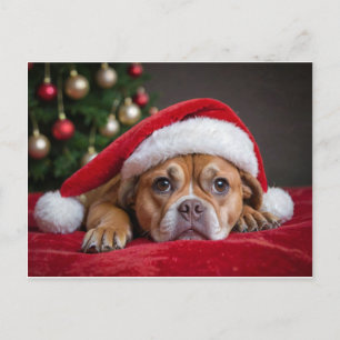 Merry Christmas Dog Holiday Postcard