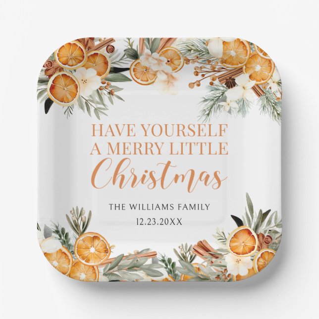 Merry Christmas dried winter oranges Paper Napkins Paper Plate (Front)