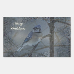 Merry Christmas - Eastern Blue Jay Rectangular Sticker