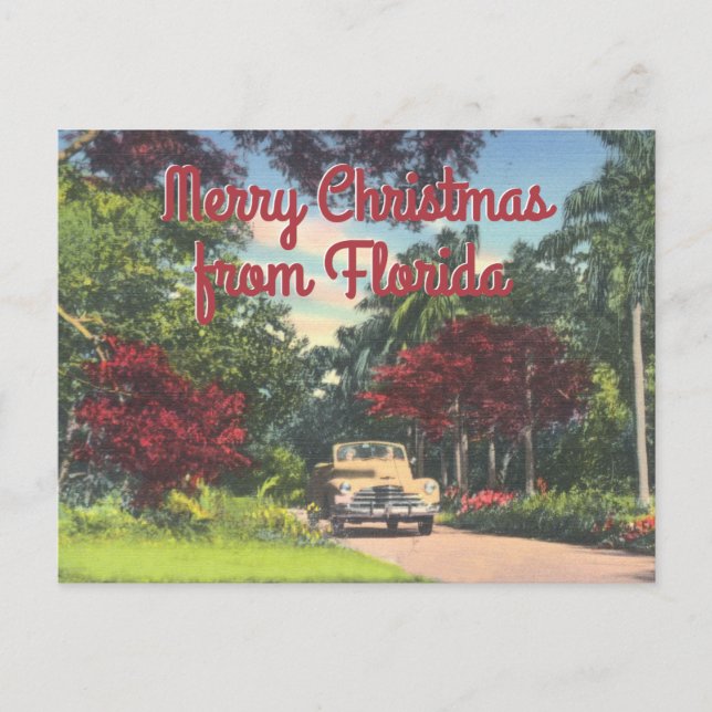 Merry Christmas Florida Vintage Greeting Holiday Postcard (Front)