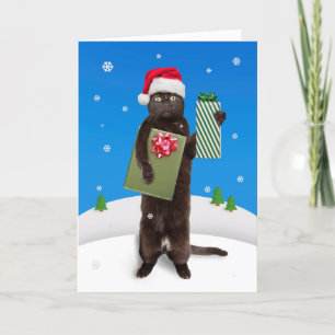 Merry Christmas For Anyone Black Cat With Gifts Holiday Card
