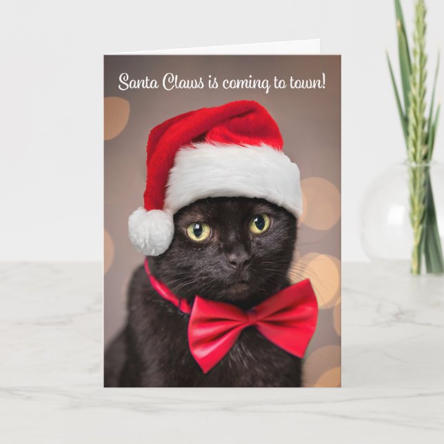 Merry Christmas For Anyone Cat in Santa Hat Humour Holiday Card (Front)