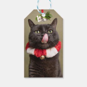 Merry Christmas For Anyone Cat Under Mistletoe Gift Tags