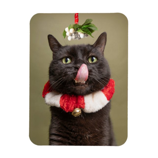 Merry Christmas For Anyone Cat Under Mistletoe  Magnet (Vertical)