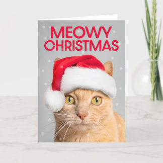 Merry Christmas For Anyone Cute Orange Tabby Cat Holiday Card