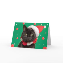 Merry Christmas For Anyone Funny Cat in Santa Hat 