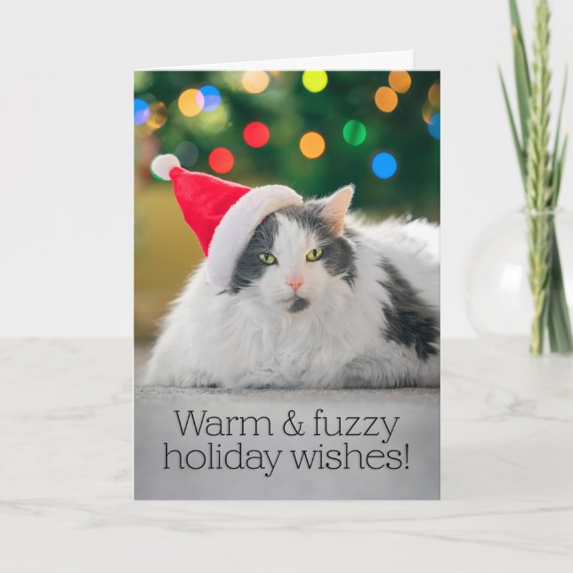 Merry Christmas For Anyone Warm and Fuzzy Cat Holiday Card (Front)